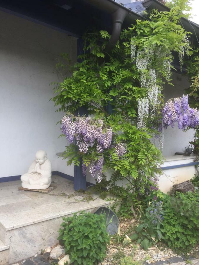 Gaensebluemchen 1 Apartment Daisy 1 Walsdorf  Esterno foto